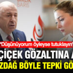 Haber gorseli
